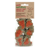 Dandelion 'n' Carrot Christmas Trees