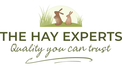 The Hay Experts