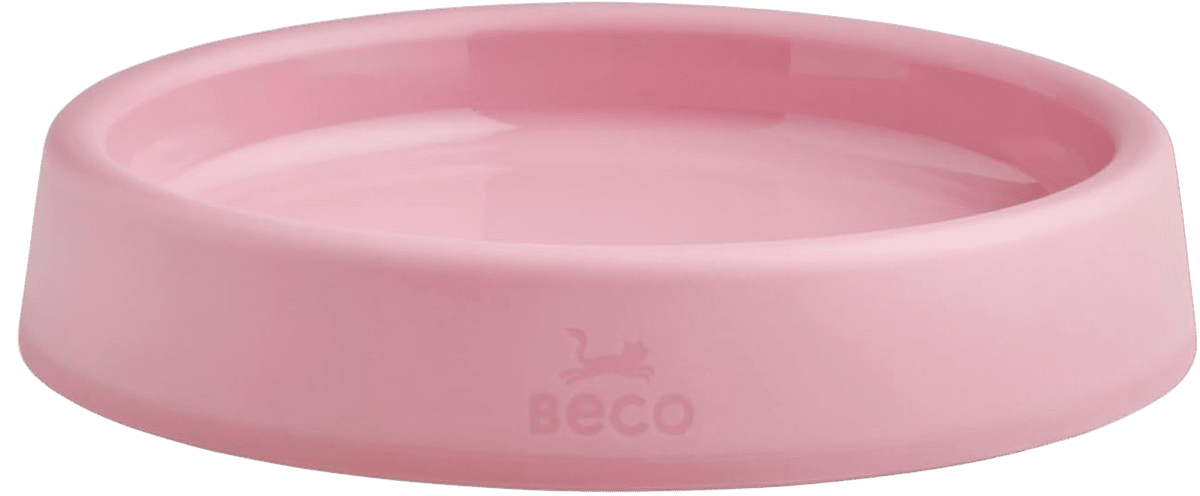Beco Steady Bowl : Low sided bowl for all small animals - whisker friendly!