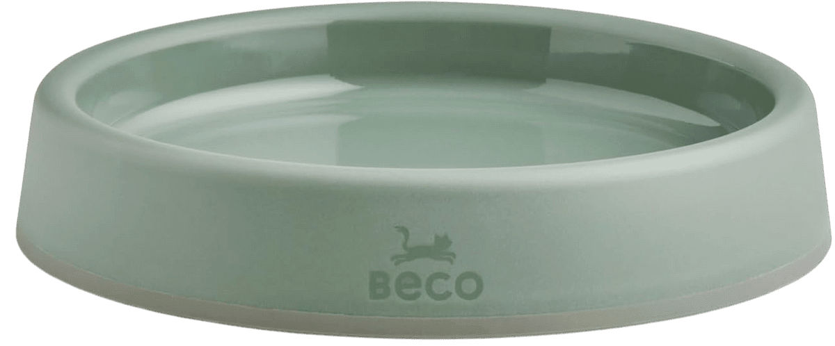 Beco Steady Bowl : Low sided bowl for all small animals - whisker friendly!