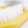 Bristle Brush