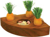 Carrot Toy n Treat Holder