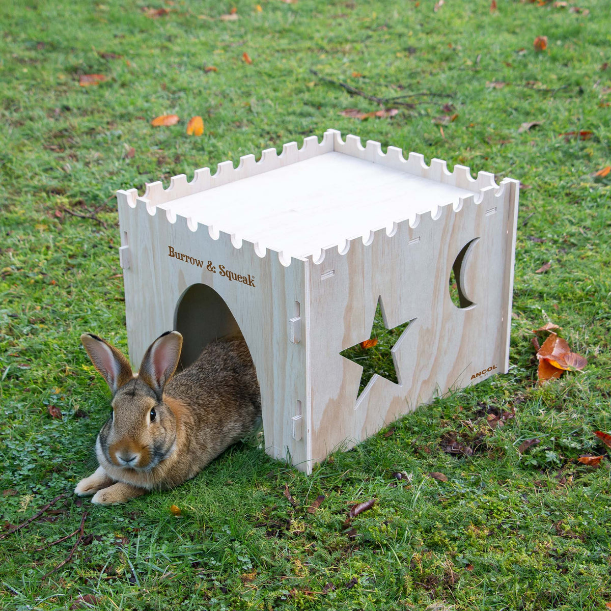 Ancol Small Animal Pet Castle Hide - for rabbits, guinea pigs & others; outside use