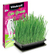 Cat Grass