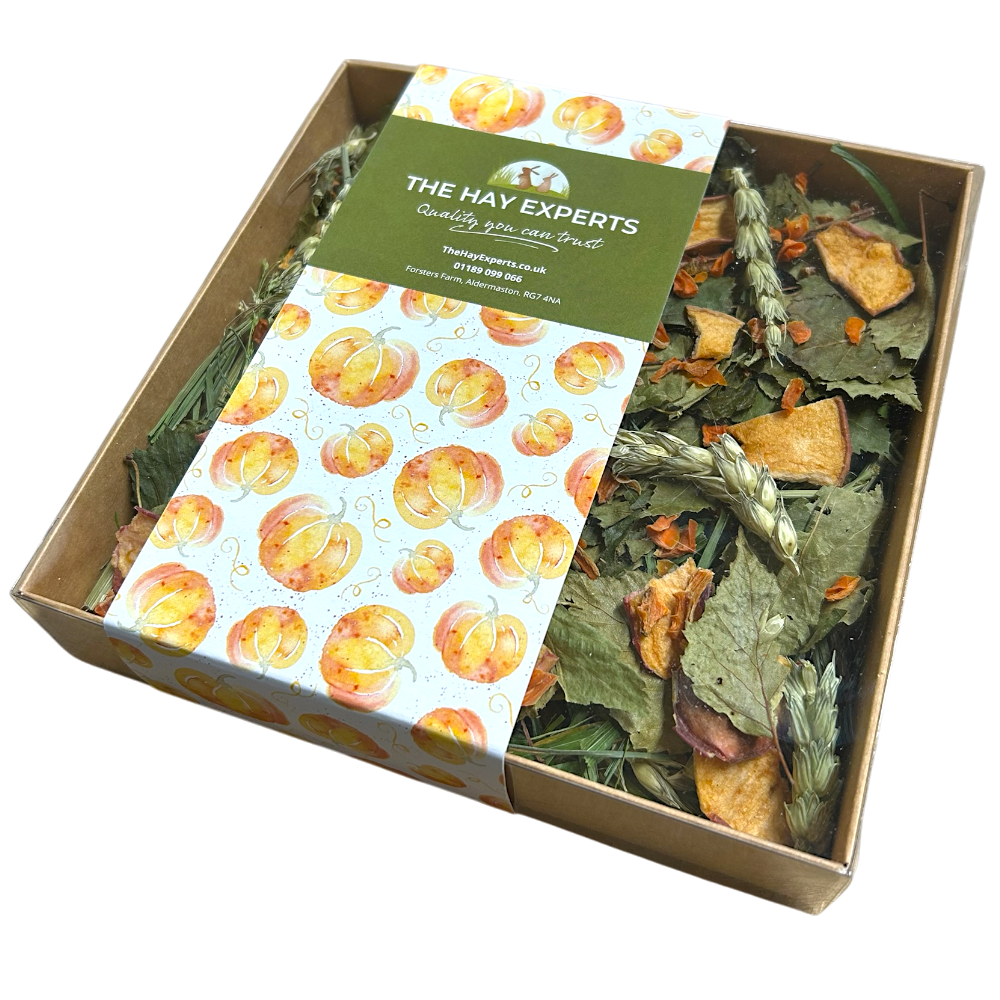 Feast of Autumn Grazing Tray - Limited Edition