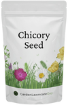Garden Lawncare Guy Chicory Seed - Grow fresh year-round for rabbits, guinea pigs, tortoises & more