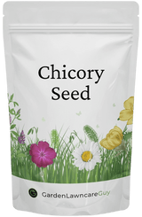 Garden Lawncare Guy Chicory Seed - Grow fresh year-round for rabbits, guinea pigs, tortoises & more