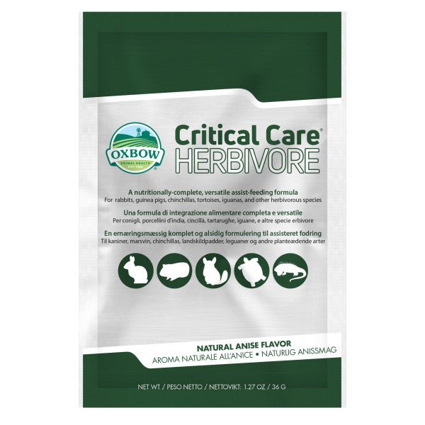 Critical Care: Assisted Feeding Formula
