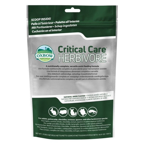 Critical Care: Assisted Feeding Formula
