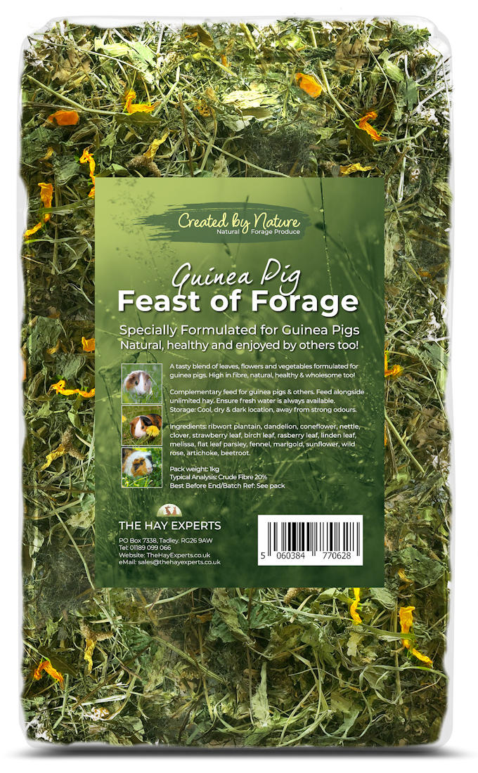 Picture of The Hay Experts - Feast of Forage for Guinea Pigs | Herbs & Treats ...
