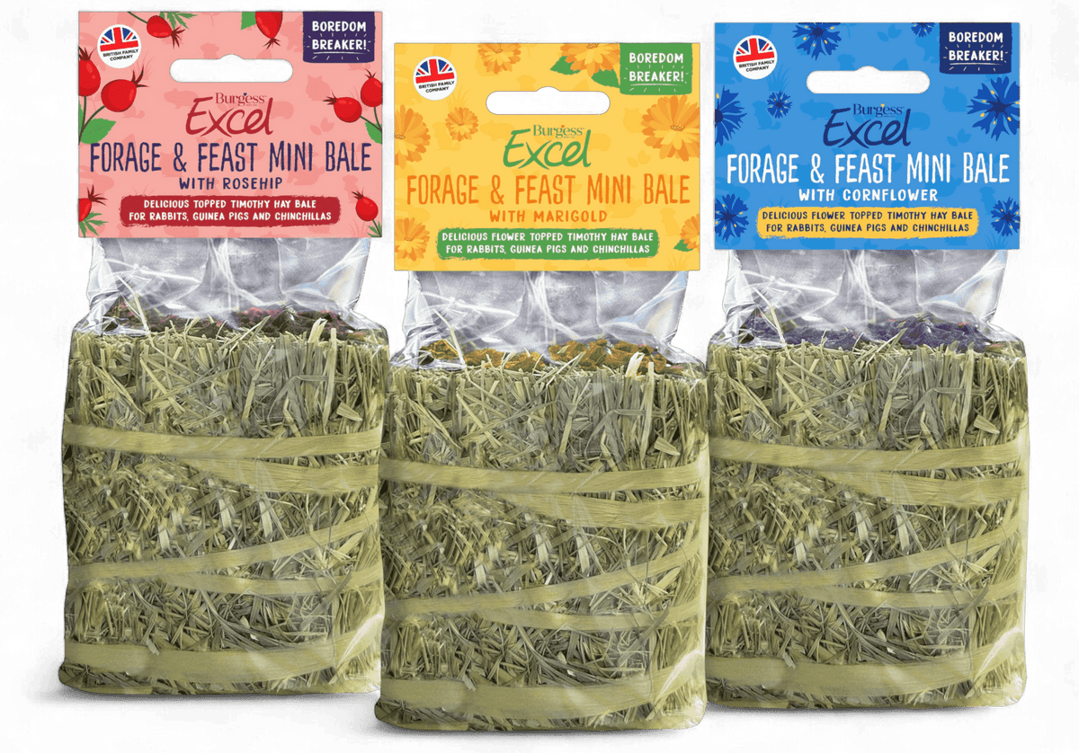 Excel Forage & Feast Mini Bale Bundle - Burgess Excel | The Hay Experts
