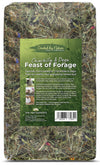 Feast of Forage for Chinchillas & Degu (1kg)
