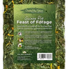 Feast of Forage for Guinea Pigs (1kg)