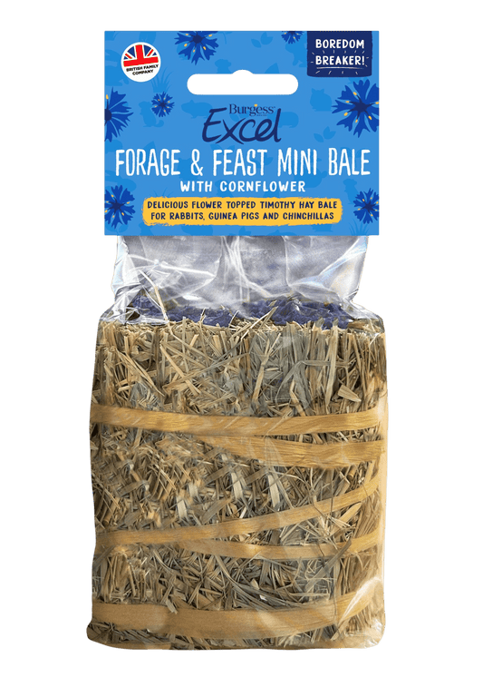 Forage and Feast Hay Mini Bale with Cornflower