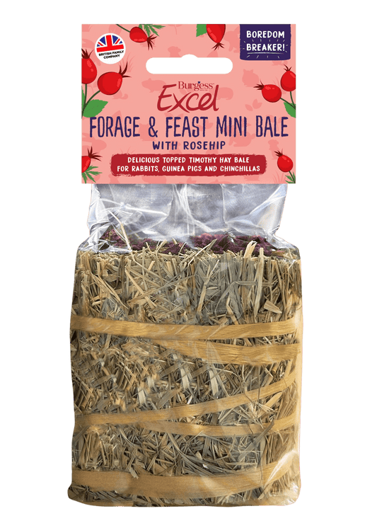 Forage and Feast Hay Mini Bale with Rosehip