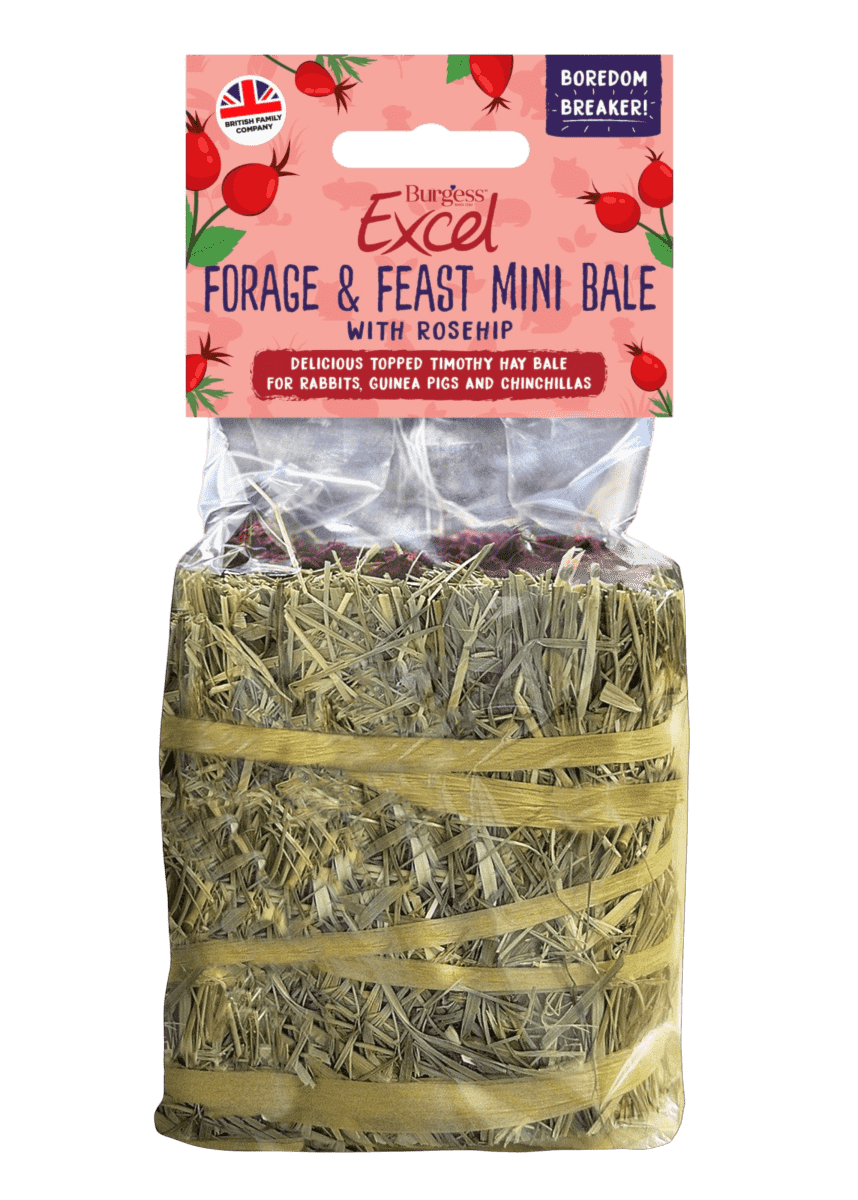 Burgess Excel Forage & Feast Hay Mini Bale with Rosehip | The Hay Experts