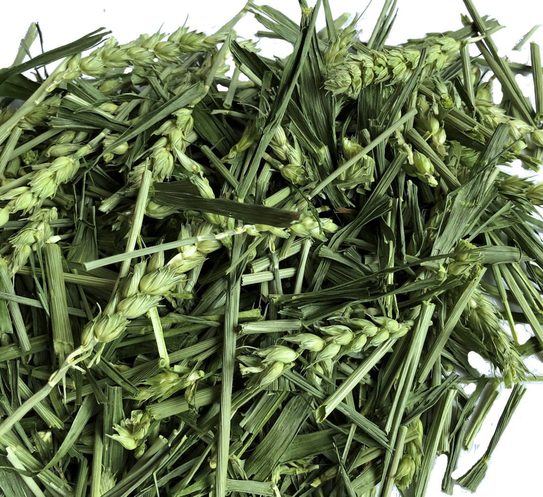 Green Wheat Forage Hay - The Hay Experts