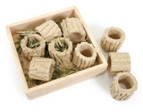 Rosewood Hide n Treat Forage Tray - environmental enrichment for rabbits & others