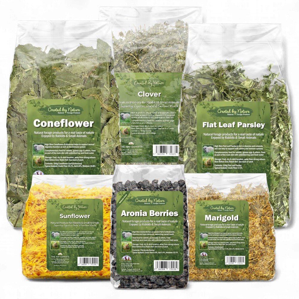 Immunity Herb Bundle - Buy 3 Save 10% - The Hay Experts | The Hay Experts