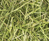 Readigrass