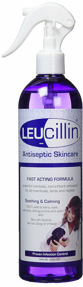 Leucillin Antiseptic Skin Care: 150ml Spray