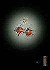 Ladybirds in Love
