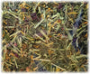 Country Garden Herb Mix (400g)