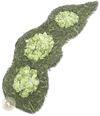 Pea 'n' Forage Pod