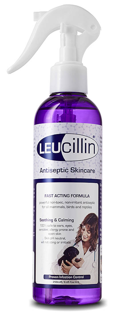 Leucillin Antiseptic Skin Care: 250ml Spray