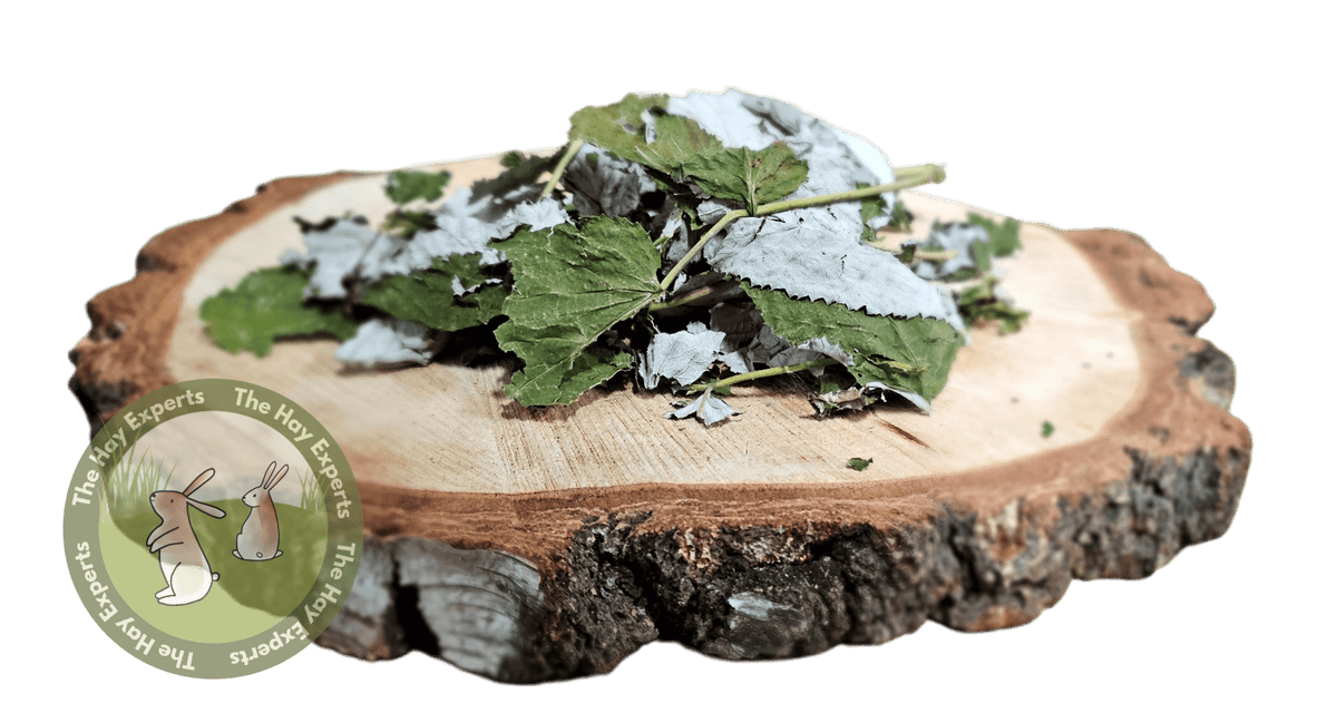 The Hay Experts Raspberry Leaf for Rabbits, Guinea Pigs & more. Natural, high fibre & nutritious!