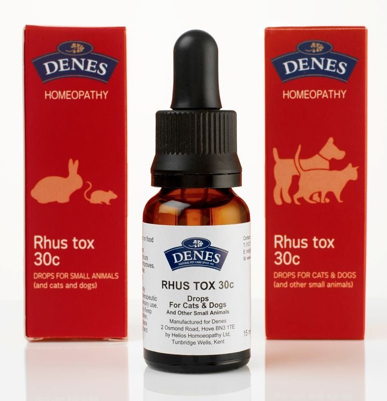Rhus Tox - Denes Homeopathy