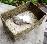 Rollin' Rodent Sand Bath