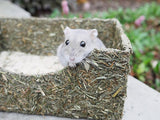 Rollin' Rodent Sand Bath