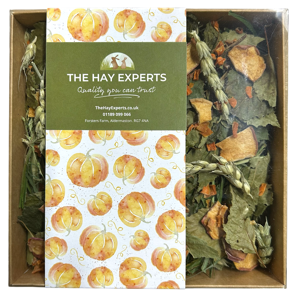 Feast of Autumn Grazing Tray - Limited Edition