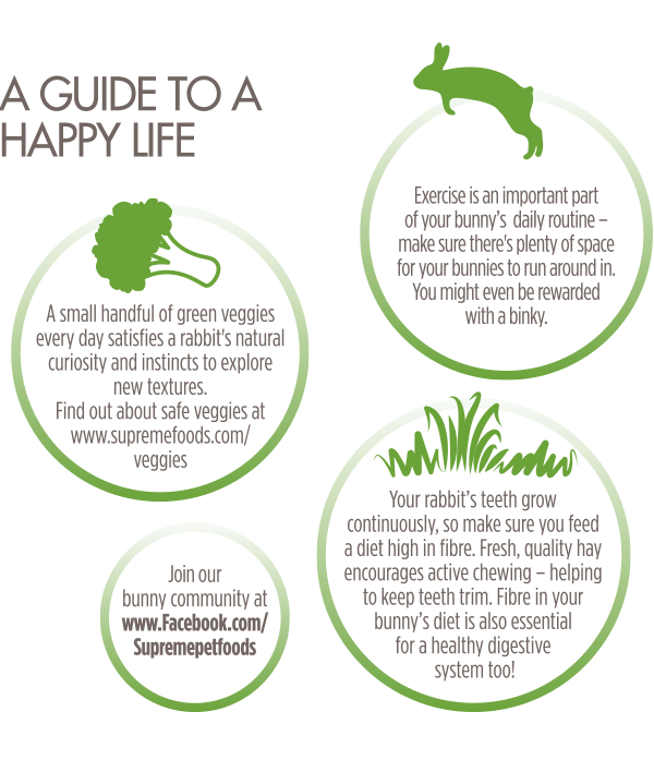 Science Selective Rabbit Junior Food