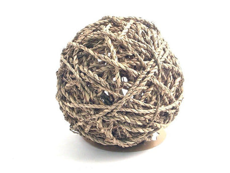 Seagrass Fun Ball