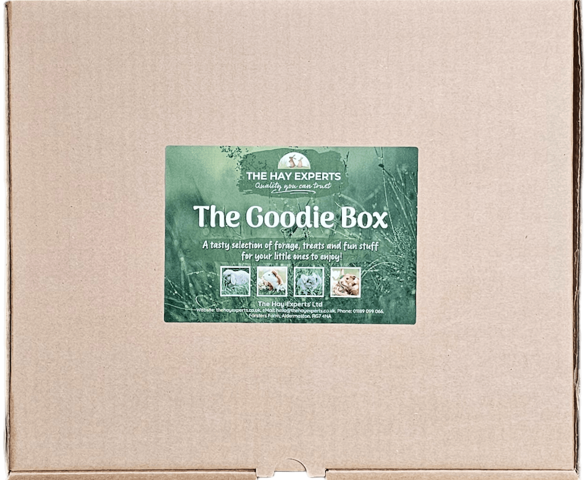 The Hay Experts Goodie Box: forage, treats & fun for rabbits & small animals