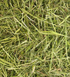 Timothy ReadiGrass