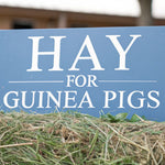 A Pet Owner's Guide to Hay for Guinea Pigs