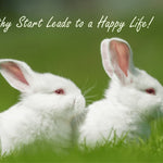 Caring for Young Rabbits: A Gentle Guide for New Owners