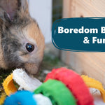 Rabbit Toys for Boredom That Actually Work