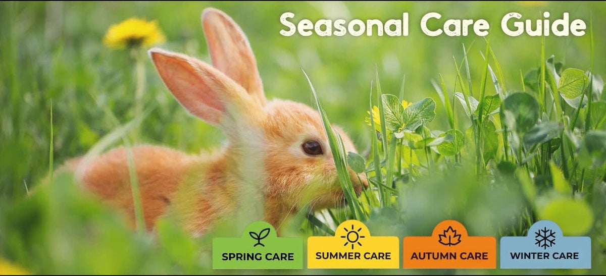 Seasonal Care Guide for Rabbits, Guinea Pigs & Small Pets - The Hay Experts