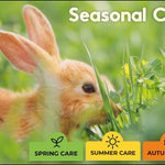 Seasonal Care Guide for Rabbits, Guinea Pigs & Small Pets