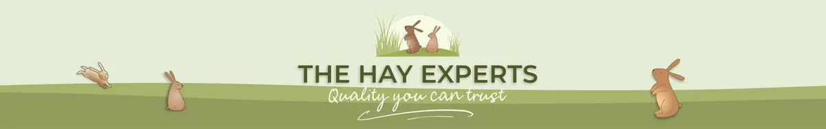 The Hay Experts - The Hay Experts