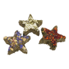 Herb 'n' Hay Star Trio