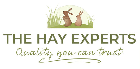 The Hay Experts