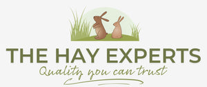 The Hay Experts: quality natural & healthy forage, hays, foods, treats & more for rabbits, guinea pigs, chinchillas & others.
