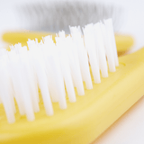 Bristle Brush