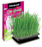 Cat Grass