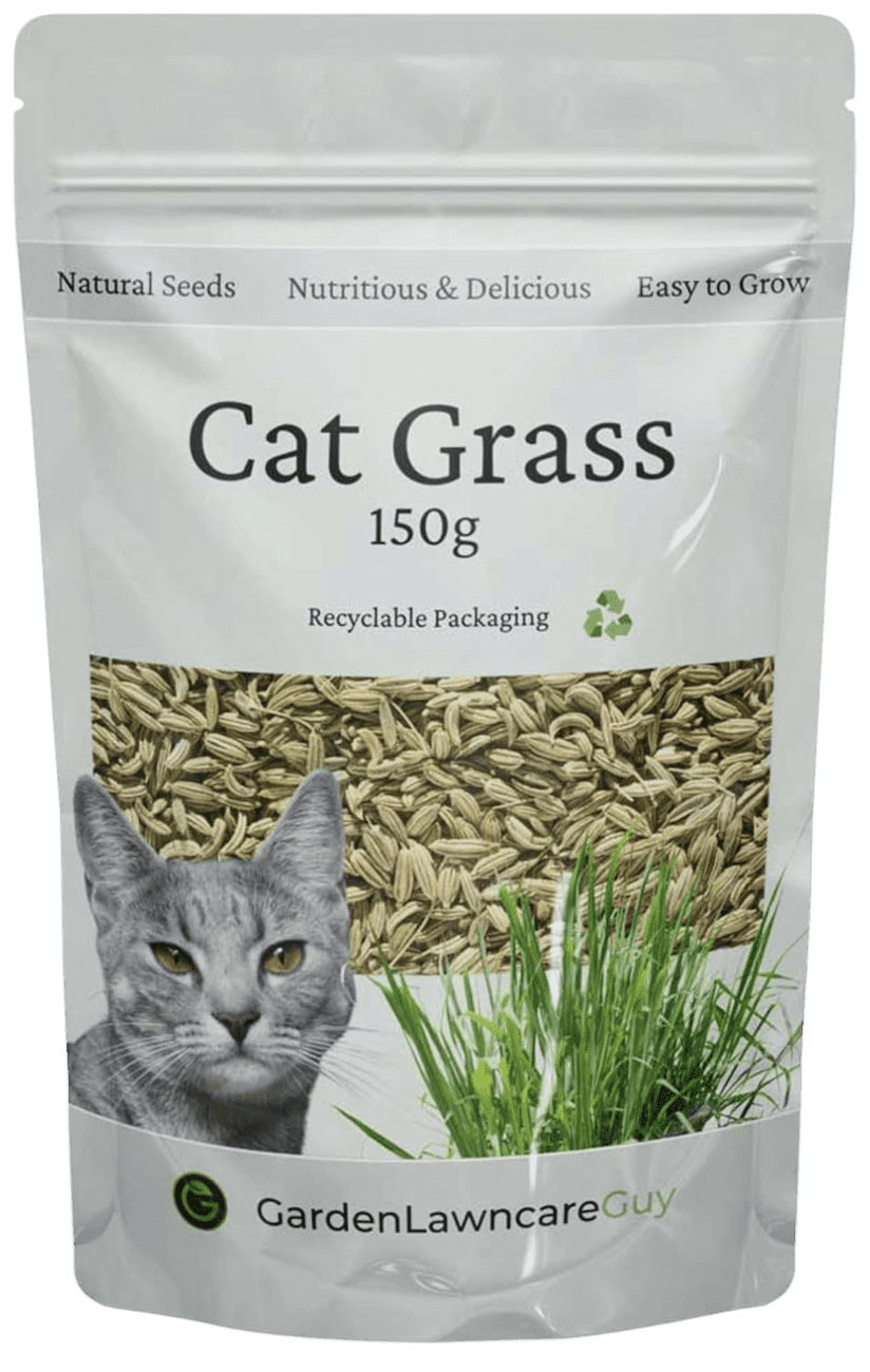 Garden Lawncare Guy Cat Grass Oat Seeds - ideal for rabbits, guinea pigs & other herbivores. And cats!